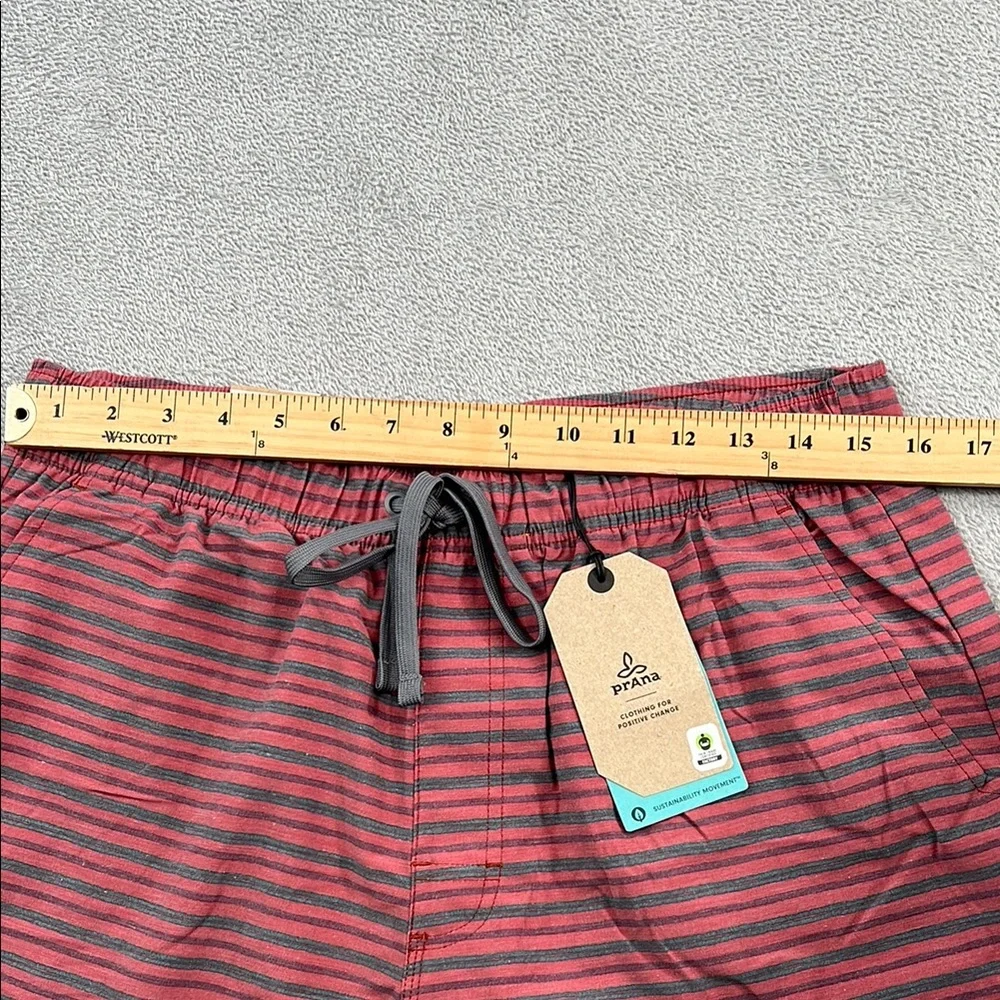 NEW Prana L Metric E-Waist Short Rust Stripe Men's Striped Red Shorts‎
